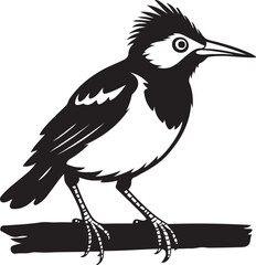Bird perched on branch black and white style, Songbird resting on tree vector design