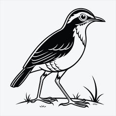 Obraz premium Antpitta line art White background illustration Generative Ai.
