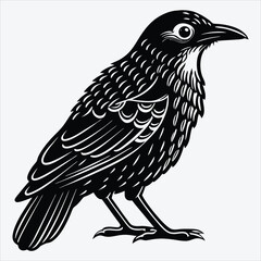 Fototapeta premium Antpitta line art White background illustration Generative Ai.