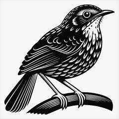 Obraz premium Antpitta line art White background illustration Generative Ai.