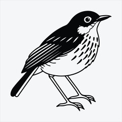 Antpitta line art White background illustration Generative Ai.