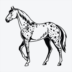 Appaloosa line art White background illustration Generative Ai.