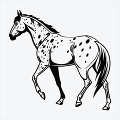 Appaloosa line art White background illustration Generative Ai.