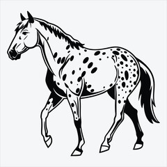 Appaloosa line art White background illustration Generative Ai.