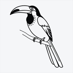 Aracari line art White background illustration Generative Ai.