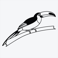 Aracari line art White background illustration Generative Ai.