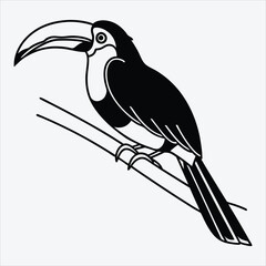 Aracari line art White background illustration Generative Ai.