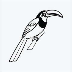 Aracari line art White background illustration Generative Ai.