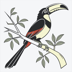 Aracari line art White background illustration Generative Ai.