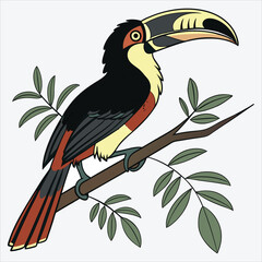 Aracari line art White background illustration Generative Ai.