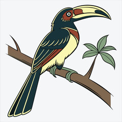 Aracari line art White background illustration Generative Ai.