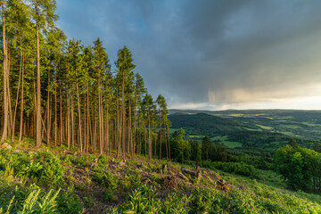 Spring sunset view from hill Svatobor near town Susice in south west Bohemia