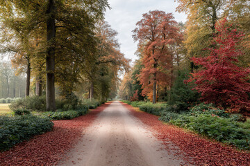 Obraz premium serene road covered with colorful flower petals leading into tranquil forest