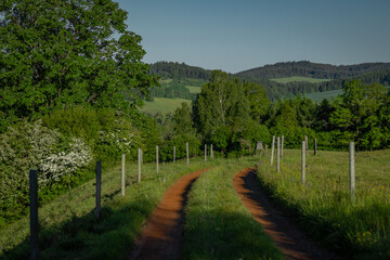 Summer hot morning with green meadows and forests in Sumava mountains