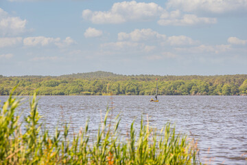 Landscape of the famous Soustons Lake beach in the southwest of France.