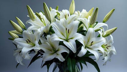 Obraz premium A bouquet of white lilies with unopened buds and green leaves against a gray background.