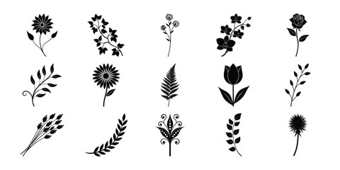 Hand drawn wedding herb, minimalistic flowers with elegant leaves. Hand-Drawn Trendy Floral & Leafy Elements