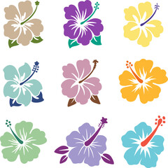 vector hibiscus flowers isolated on white background. summer hawaiian hibiscus blossom. tropical flower plant