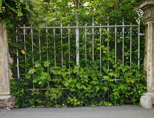 garden fence around a garden
