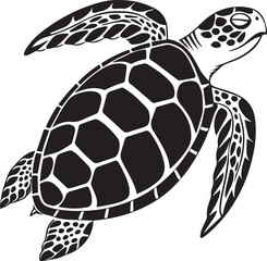 vector illustration of turtle.