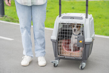 Caucasian woman traveling with dog. Owner carries Jack Russell Terrier in cage for safe travel. 