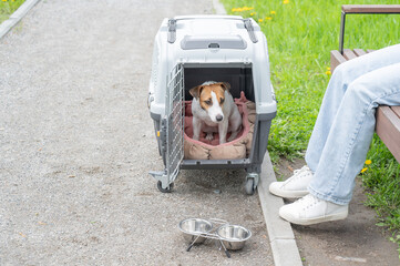 Caucasian woman traveling with dog. Owner sits on bench with Jack Russell Terrier in cage for safe...