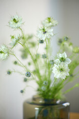 a bouquet of daisies in a glass vase stands on a table on a white background, depth of field, side effect, defocus, macrophotography, bokeh