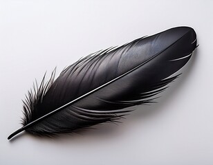 a feather is shown on a white background the feather is black and has a sharp point at the end concept of elegance and sophistication as feathers are often associated with birds and nature