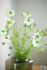 a bouquet of daisies in a glass vase stands on a table on a white background, depth of field, side effect, defocus, macrophotography, bokeh