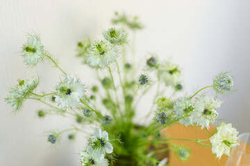 a bouquet of daisies in a glass vase stands on a table on a white background, depth of field, side effect, defocus, macrophotography, bokeh