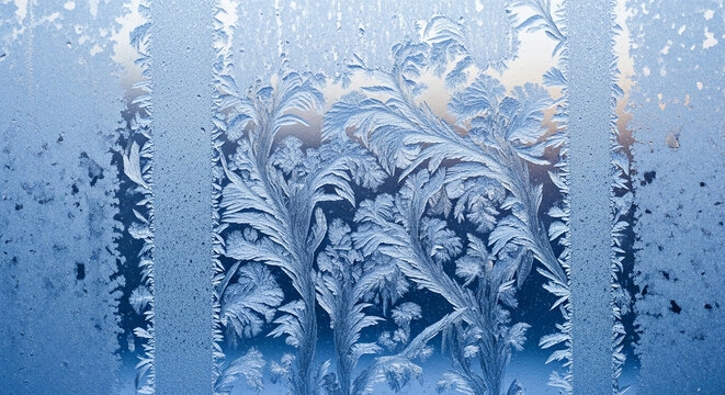 Intricate fern-like frost patterns cover a windowpane, creating a delicate natural artwork in cool blue, white, and gray tones.
 - Powered by Adobe