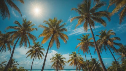 Tropical beach scene with palm trees under sunny sky and bright sunlight. Nature and tranquility, paradise vibe. The tropical scenery and sunny weather.