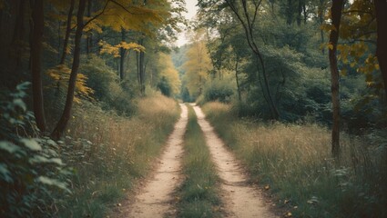 Naklejka premium A dirt road through a forest with trees and grass, leading into the distance during daytime.