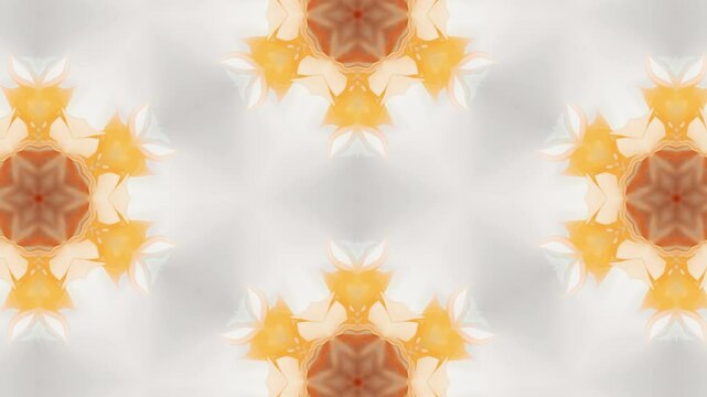 Motion flower pattern background. Green and orange ink texture. Mandala animation. Flower Pattern.