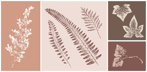 Set of hand drawn flower ivy leaf botanical prints on various color swatches. Plant and flower art for card design or invitation.