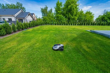 Robotic lawn mower cutting the grass