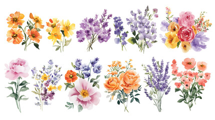 vibrant watercolor flower bouquets and clusters - beautiful floral designs isolated on transparent background