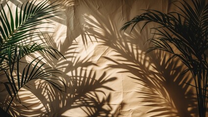 Obraz premium Shadows of palm leaves cast on a crinkled beige paper background.
