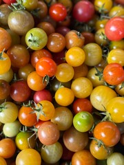 Colorful Assortment of Heirloom Cherry Tomatoes

