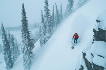 Professional skier carving down an off piste slope on a snowy mountain, surrounded by a stunning pine forest in winter's embrace