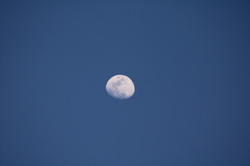 Obraz premium Evening moon