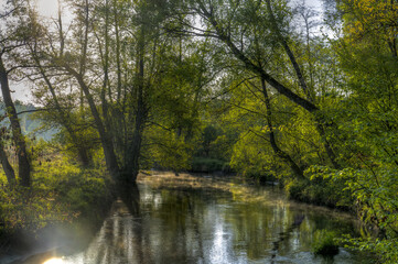 Serene River Flowing Through Forest