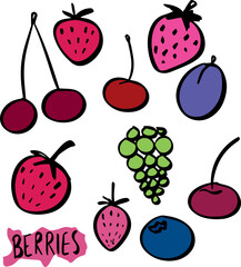 berries strawberry cherry blackberry plum doodle set. Vector illustration