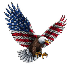 american bald eagle