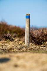 Trail marker wooden post with blue stripe.