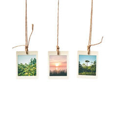 Five polaroid photos hanging against a white background capturing serene nature moments, five polaroid photos hanging isolated on white