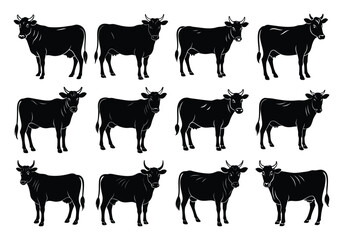Fototapeta premium Set of jersey cow silhouettes in various poses. isolated vector on white background.