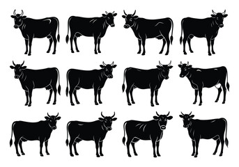 Fototapeta premium Set of jersey cow silhouettes in various poses. isolated vector on white background.