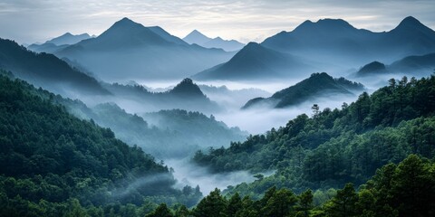 Misty morning in tropical rainforest with mountains in the distance.