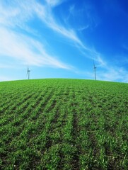 Green field with wind turbines under blue sky
